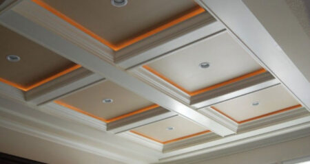 tray ceiling with lights